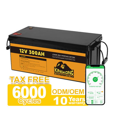 Denizaltılar için 12V 48V 120Ah 150Ah 170Ah 200Ah 300Ah LiFePO4 Lityum İyon Pil Paketi