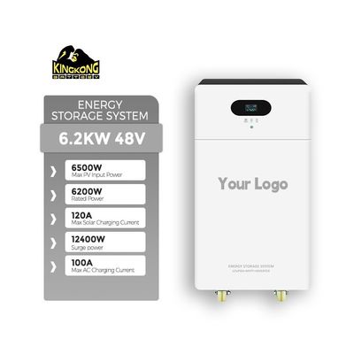 3.6KW Çift Çıkışlı Monokristalin Silikon Güneş Inverteri 24V 100Ah Lityum Pil ile
